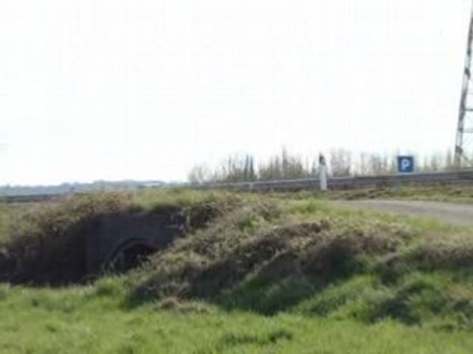 delire en 307
