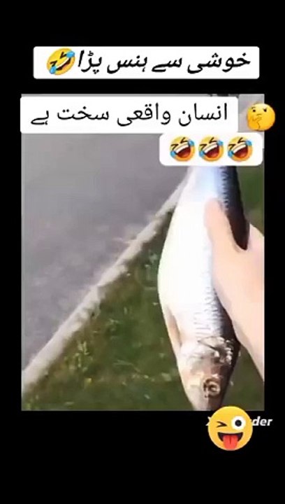 Facebook_1721332809693