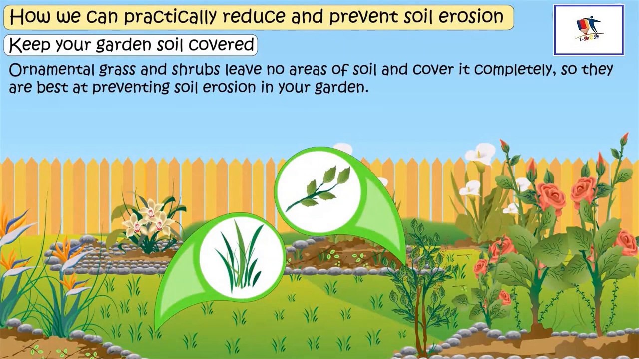 Preventing Soil Erosion