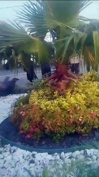 Sinop - Ayancık yolundaki kazada 8 kişi yaralandı