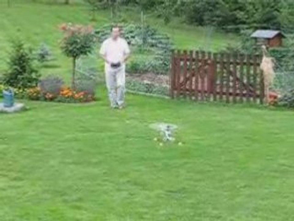 Honey bee king Video_01