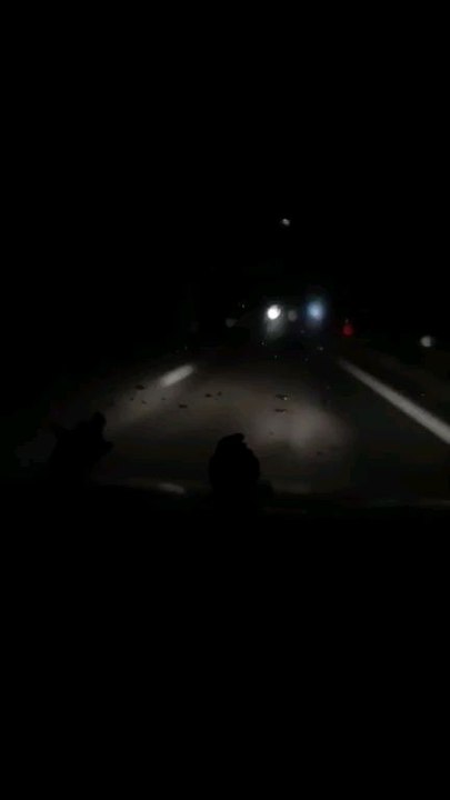 Șogor Tiberiu Adrian 20/07/2024