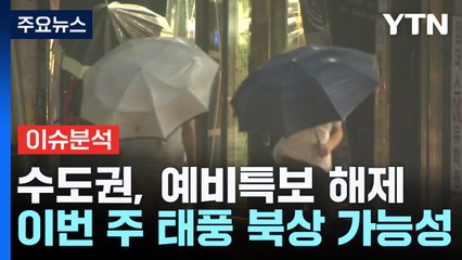 전남 시간당 50mm↑...3호 태풍 '개미' 영향 가능성은? / YTN