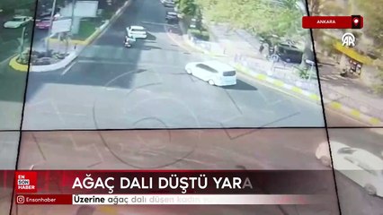 Aydın'da üzerine ağaç dalı düşen kadın yaralandı