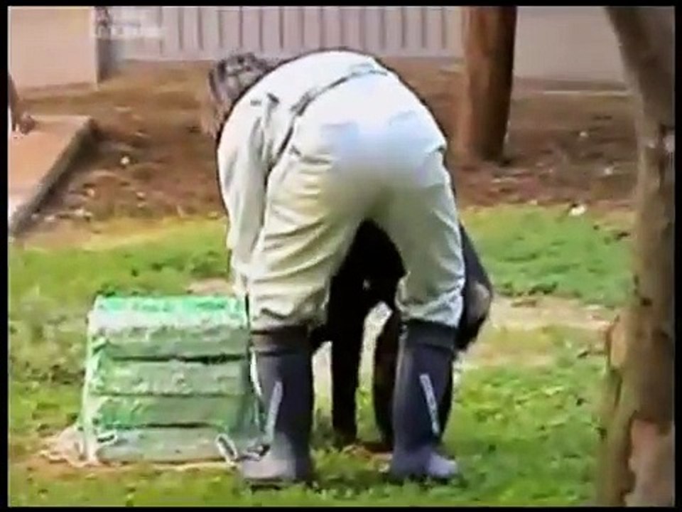 Bazıları hâlâ hayvanların düşünemediğini sanıyor
