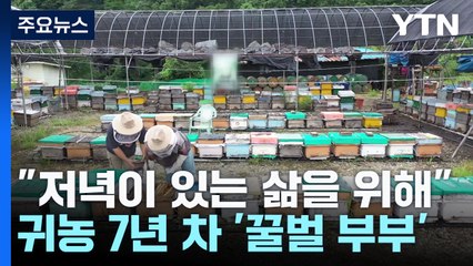 [청년농부] "가족과, 저녁이 있는 삶을 위해"...귀농 7년 차 꿀벌 부부 / YTN