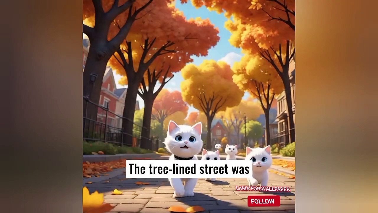 Cat's first day at school
