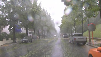 [날씨] 전남 호우특보 해제...강한 비 가능성 줄어 / YTN