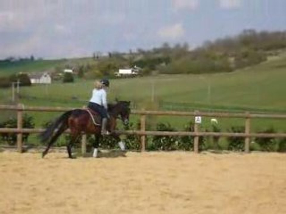new au galop le 16/04/08