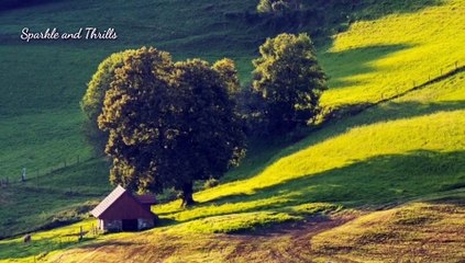 1 Hour Sleep Music | Fall Asleep Fast | Very Effective