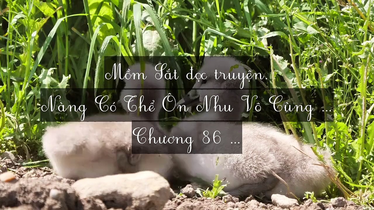 Mới 2024 Chương 86-90: Nàng Có Thể Ôn Nhu Vô Cùng
