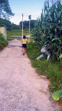 Funny video #funny #funnyclips #entertainment