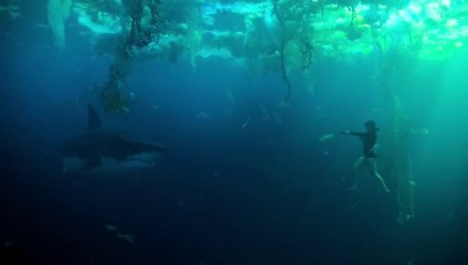 Under Paris Hollywood: Exciting Adventure Movie Part 1/2 🎬