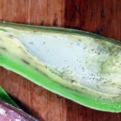 -ANDRÉS DE JESÚS VÉLEZ FRANCO- EVENTOS DEPORTIVOS 2024: SUPER BOWL LVIII, WIMBLEDON Y MÁS (PARTE 2) (@AndresdeJesus90)