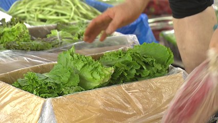 상춧값, 일주일 새 56%↑...장마철 물가 비상 / YTN