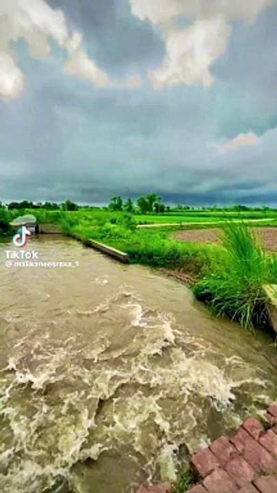 Punjab view