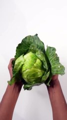 Chicken Cabbage Momos