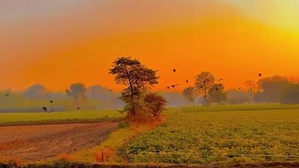 beautiful view of sun set