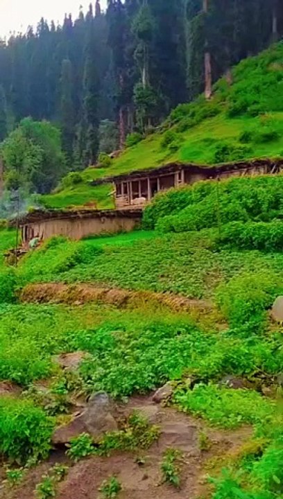 Butyfull Pakistan