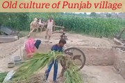 Old culture of Punjab Purana mahool in Punjab India and Pakistan beautiful village life traditional village life in Punjab