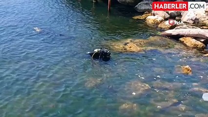 Avcılar'da dehşet: Önce bıçakladılar, sonra denize attılar