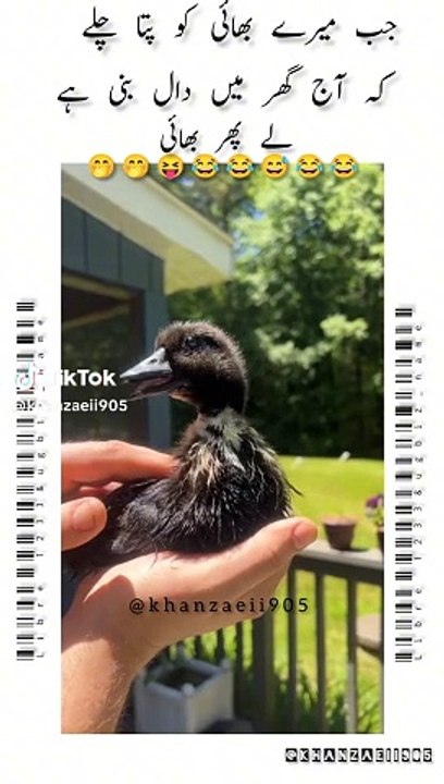 Duck speaking
