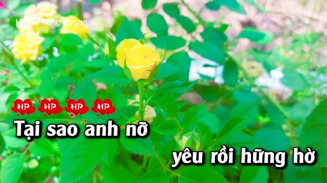 Karaoke Anh Đã Thay Lòng Tone Nữ Nhạc Sống Mới - Hoài Phong Organ
