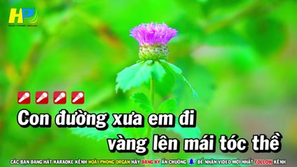 Karaoke Con Đường Xưa Em Đi (Beat Hay) Nhạc Sống Tone Nam - Hoài Phong Organ