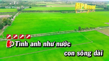 Karaoke Chim Trắng Mồ Côi Đan Trường - Cẩm Ly Song Ca - Hoài Phong Organ