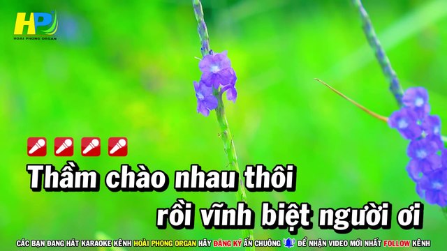 Karaoke Đoạn Tuyệt (Beat Hay) Nhạc Sống Tone Nữ - Hoài Phong Organ