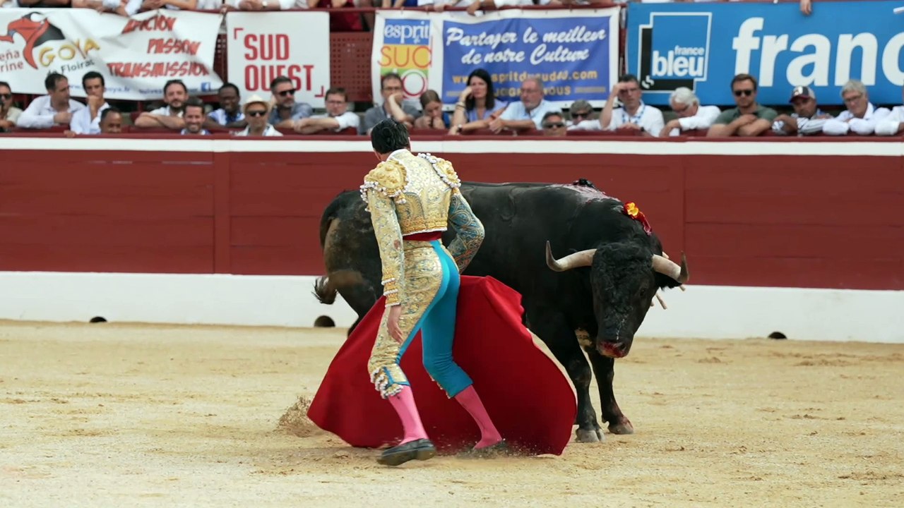 emilio de justo mont marsan