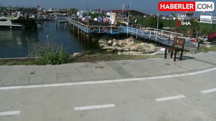 Avcılar'da dehşet: Önce bıçakladılar, sonra denize attılar