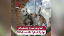 ألعاب وأسرة وطعام مبادرة للعناية بالكلاب الضالة