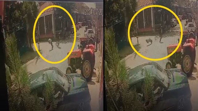 Sokakta yürürken başına taşla vuruldu; o anlar kamerada