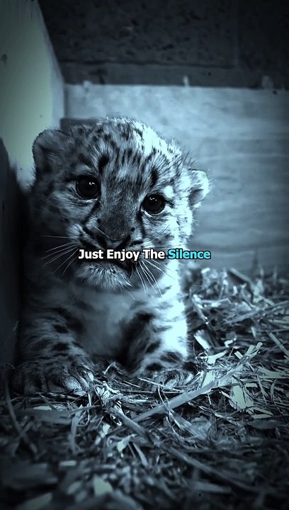 Long Distance Relationships - Deep Love