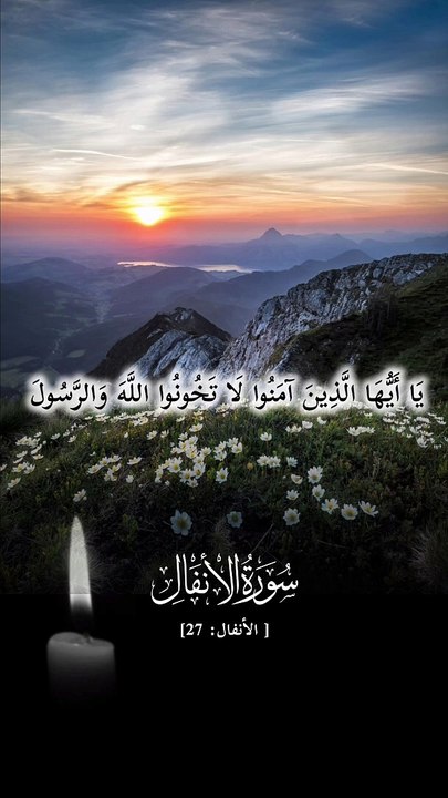 ﴿ يَا أَيُّهَا الَّذِينَ آمَنُوا لَا تَخُونُوا اللَّهَ وَالرَّسُولَ وَتَخُونُوا أَمَانَاتِكُمْ وَأَنتُمْ تَعْلَمُونَ﴾ [ الأنفال: 27]