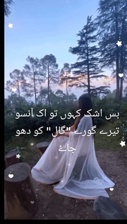 Chal ik aisi madam  likhu| چل اک ایسی نظم لکھوں|urdu poetry|watsapp status| poetry lover s