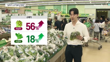 “상추를 고기로 싸”…장마로 채소류 가격 급등