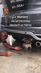 Un homme sauve une mere et son chiot de la noyade