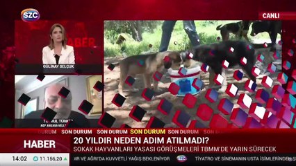 AKP'li Türkeş'ten katliam yasasına tepki: Doğru bir şey değil