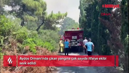 Aydos Ormanı'nda yangın çıktı