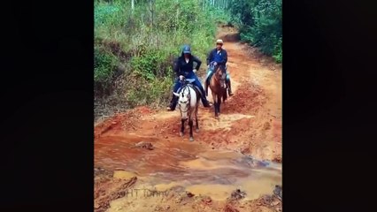 TRY NOT TO LAUGH  Best Funny Videos compilation - Fail And Pranks  P16