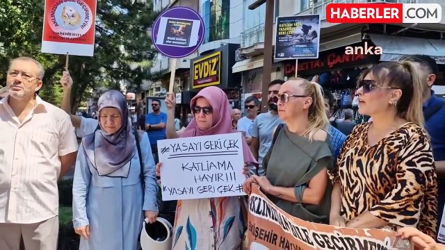 Saadet Partisi ve Hayvanseverler, Sokak Hayvanlarına Ötanazi Yapılmasına Karşı Protesto Düzenledi
