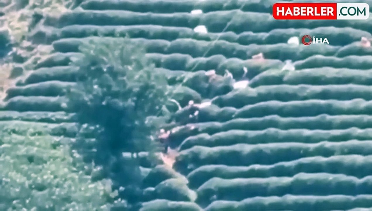 Rize'de çay toplayan vatandaş elektrik akımına kapılarak ağır yaralandı