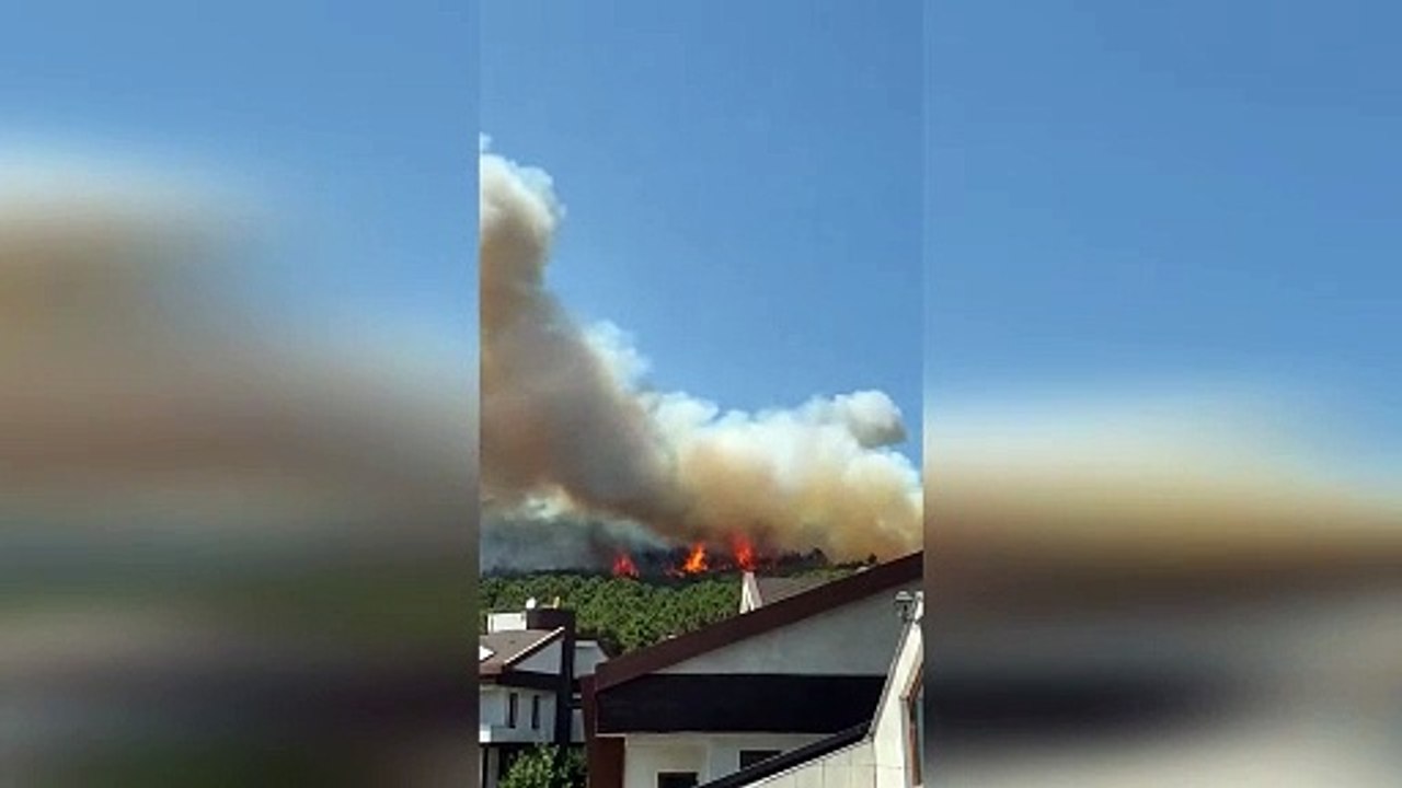 İstanbul Pendik Aydos Ormanında yangın çıktı.