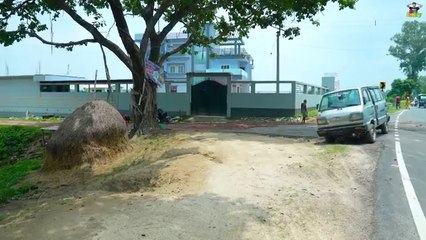 Top New Very Very Special Funny Video 2024, Amazing Funny Comedy Video 2024, Episode 339 My MyFamily