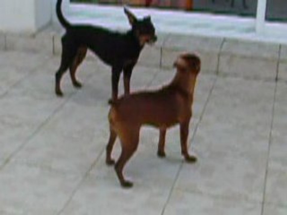 Vidéos 001