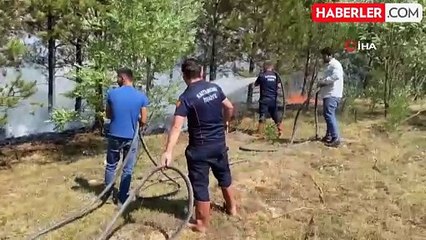 Kastamonu'da orman yangını