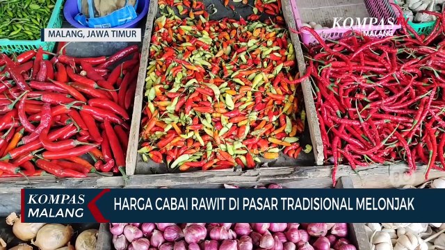 Harga Cabai Rawit Melonjak, Capai Rp 70 Ribu Per Kilogram