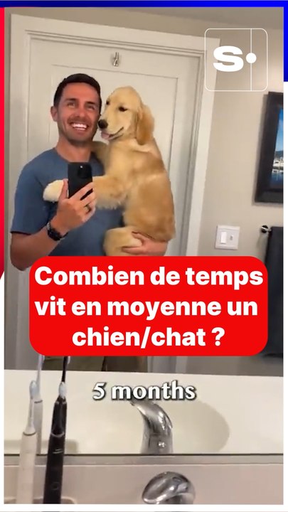 Combien de temps vie en moyenne un chien/chat ? Audrey Soukiassian nous répond
